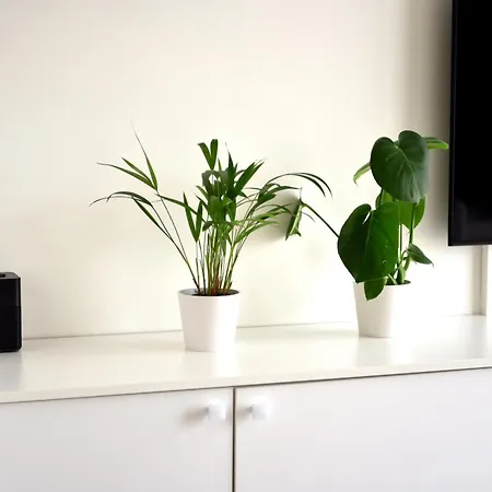 Lejlighed Sea View Oostende