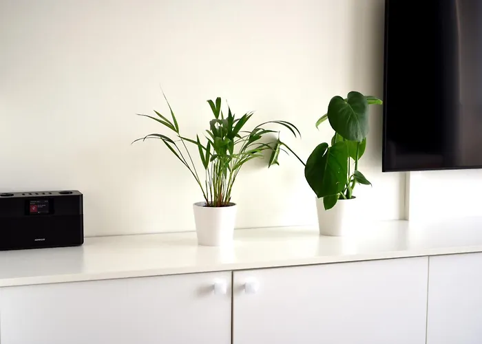 Apartment Sea View Ostende